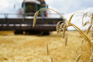 Agriculture